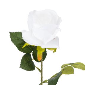 Mākslīgie ziedi, roze Domoletti, balta krās., 51 cm