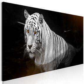 Reprodukcija Artgeist Shining Tiger KR33, 150 cm x 50 cm