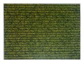 PVC grindų danga Thema Lux M13018, žalia sp., 130 cm x 0.8 cm