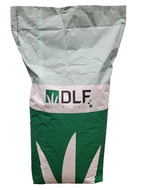 Vejos sėklos DLF Playground, 20 kg
