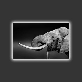 Reprodukcija Wallity 4570MDACT-015, 45 cm
