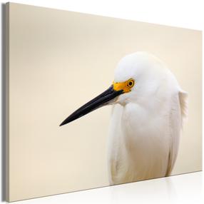 Reproduktsioon Artgeist Snowy Egret DKNW0636-DKX, 90 cm x 60 cm