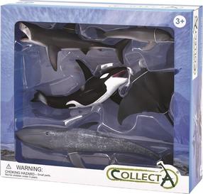 Rinkinys Collecta Sea Life 467957, 5 vnt., įvairių spalvų