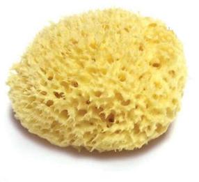 Käsn lapsele Bellini, kollane v., 10 cm