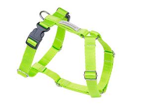 Petnešos šunims Amiplay Guard Samba, žalia sp., 250 - 320 mm x 10 mm, XS