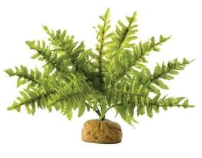 Akvārija dekorācija Exo Terra Boston Fern, zaļa krās., 40 cm