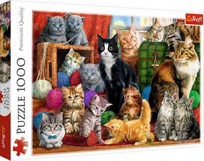 Dėlionė Trefl kittens 10555t, 48 cm x 68 cm, 1000 vnt.