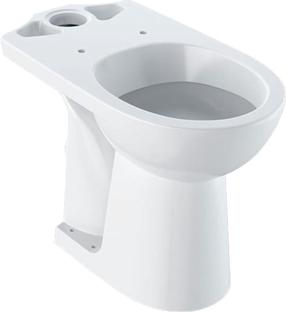 Туалет, напольный Geberit Selnova Comfort, 360 мм x 670 мм