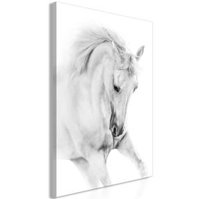 Reprodukcija Artgeist White Horse N8346PWD, 40 cm x 60 cm