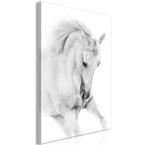 Reprodukcija Artgeist White Horse N8346PWD, 40 cm x 60 cm