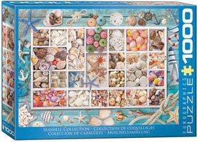 Puzle Eurographics Seashell Collection 6000-5529, 67.6 cm x 48.9 cm, 1000 gab., daudzkrāsaina