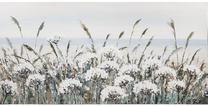 Foto paveikslas Home4you, 140 cm x 70 cm