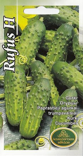Sēklas Kurzemes sēklas, gurķi Rufus H, 1 g