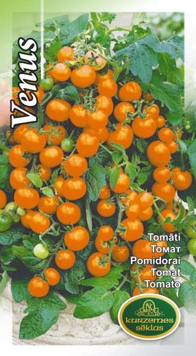 Sēklas Kurzemes sēklas, tomāti Venus, 0.1 g