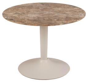 Kavos staliukas Malta, rudas/pilkas, 60 cm x 60 cm x 45 cm