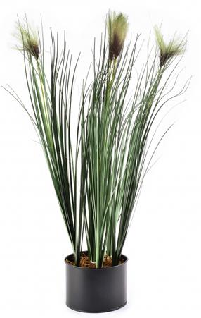 Dirbtinis augalas vazone, žolė Mondex Artificial Flower HTQB3523, ruda sp./žalia sp., 64 cm x 12.5 cm