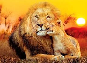 Пазл Clementoni Unexpected Hug 29785, 33.5 см x 48.5 см, 180 шт., многоцветный
