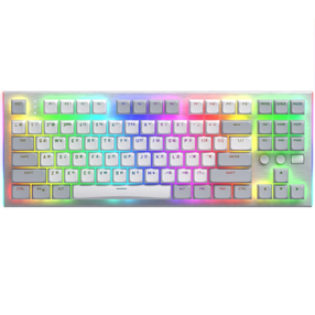 Laidinė žaidimų klaviatūra HATOR Gravity TKL HTK561UA HATOR Aurum Orange, Anglų / Ukrainiečių, balta sp./įvairių spalvų