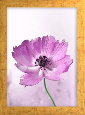 Paveikslas Wallity AC1680333026, 24 cm x 29 cm