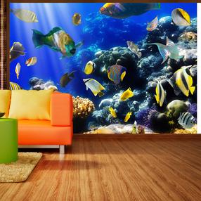 Fototapetas Artgeist Underwater Adventure MNEW010257SAM, 105 cm x 147 cm