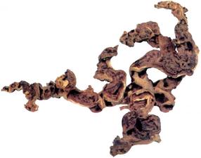 Akvārija dekorācija Zolux Root 356016, brūna krās., XL