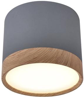 Šviestuvas lubų Candellux Tube, LED, 4000 °K, 1 x 9 W, balta sp. / ruda sp.