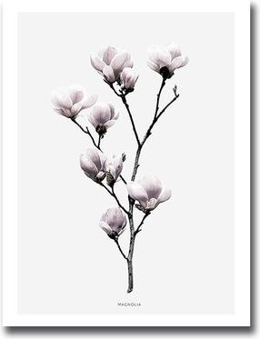Paveikslas Wallity, 3040mdfciz-010, 30 cm x 40 cm