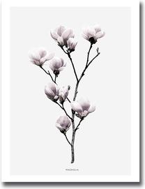 Paveikslas Wallity, 3040mdfciz-010, 30 cm x 40 cm