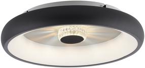 Šviestuvas lubų ir sienų Paul Neuhaus Vertigo 14384-18, LED, 2700 - 5000 °K, 1 x 29 W, balta sp. / juoda sp.