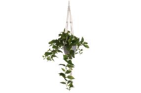 Kunsttaim potis 4Living, roheline v., 95 cm
