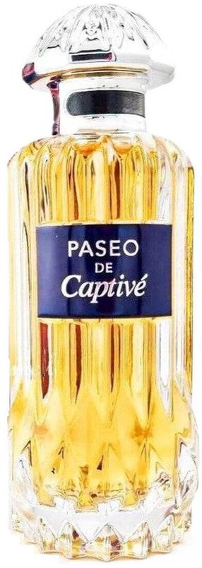 Parfüümvesi Pendora Scents Paseo De Captive, 100 ml