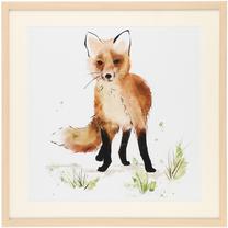Foto paveikslas 4Living Fox, 60 cm x 60 cm