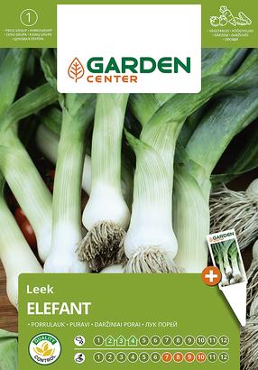 Seemned Garden Center, porrulauk ELEFANT, 1 g