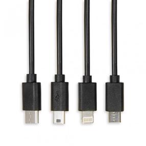 Vads iBOX Universal 4 in 1 IKUM4W1, USB Type C/Micro USB/Mini USB/Apple Lightning, 100 cm, melna krās.