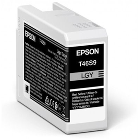 Rašalinio spausdintuvo kasetė Epson T46S9 UltraChrome Pro 10, pilka sp.