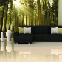 Fototapetas Artgeist Pine Forest F4TNT0455-P, 270 cm x 450 cm
