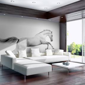 Fototapetas Artgeist White Gallop 4XLFTNT0185SAM, 309 cm x 392 cm