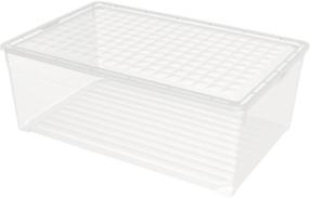 Daiktadėžė su dangčiu, daiktų saugojimo Curver 196065, 45 l, skaidri/balta, 59.6 x 39.4 x 23 cm