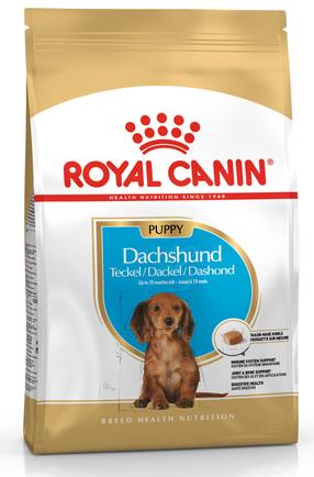 Sausas šunų maistas Royal Canin Dachshund, vištiena, 1.5 kg