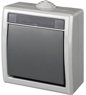 Perjungiklis Elektro-Plast Aquant1201-10,antracito/pilkos sp