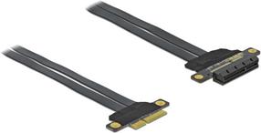 Kabelis Delock PCIe, PCIe, 0.3 m