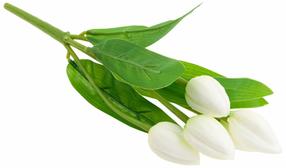 Mākslīgais pušķis, tulpes, balta krās./zaļa krās., 30 cm