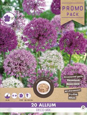 Svogūninės gėlės dekoratyvinis česnakas DECO MIX, 10 - 12 mm, 20 vnt.