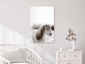 Reprodukcija Artgeist Horse Mane DKNW0715-XLPWD, 60 cm x 90 cm