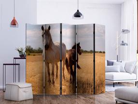Fototapetas Artgeist Horse And Foal II Paraventtc1975, 172 cm x 225 cm