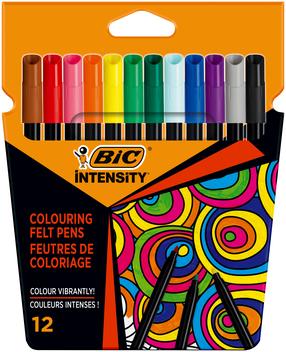 Flomasteriai Bic 978004, vienpusiai, 12 vnt.