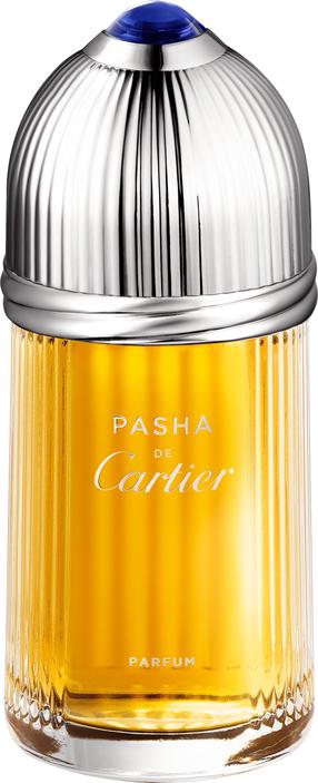 Parfüümvesi Cartier Pasha De Cartier Men, 100 ml
