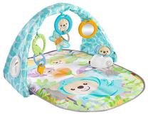 Aktyvumo kilimėlis Mattel Fisher Price, 82 cm x 70 cm, įvairių spalvų