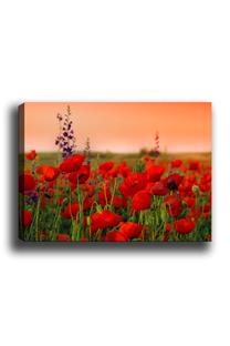Reprodukcija Wallity 1, 50 cm x 70 cm