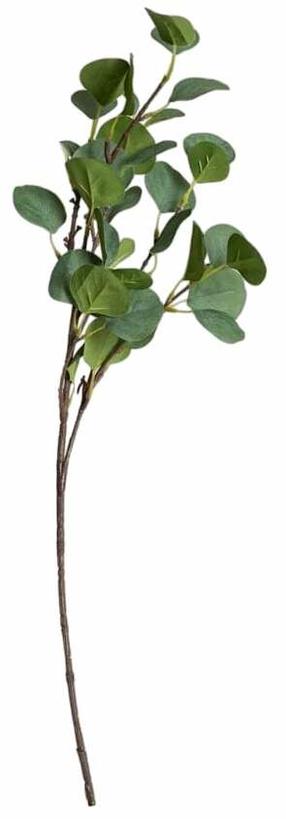 Mākslīgais zars, eikalipts Homla Basic, brūna krās./zaļa krās., 65 cm